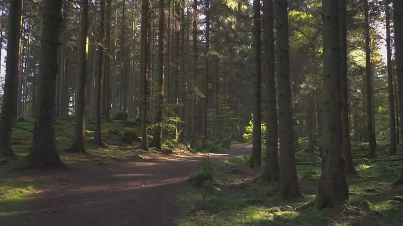 TBKFit, Ecoligi, sustainability, ECO packaging, looking after the environment,